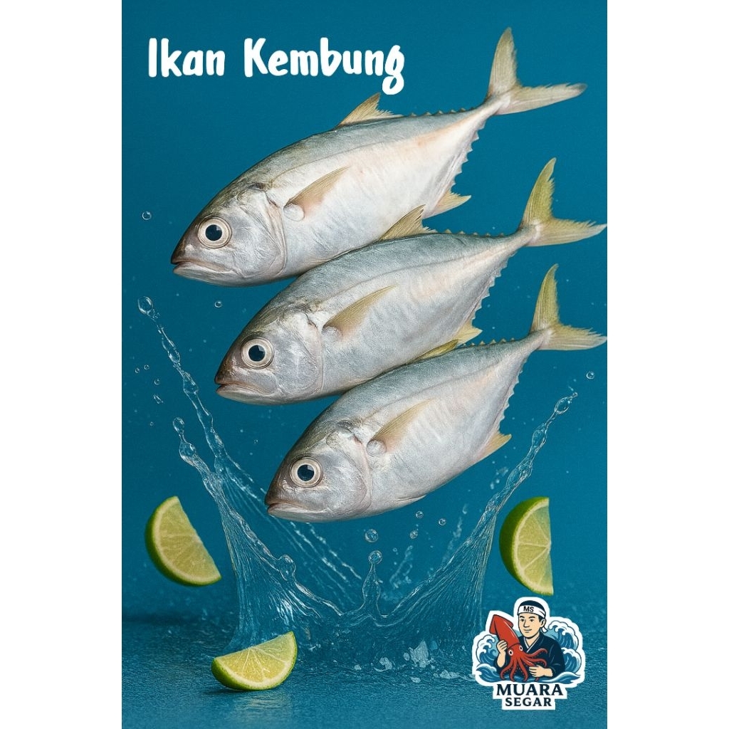 

Ikan kembung segar 1kg