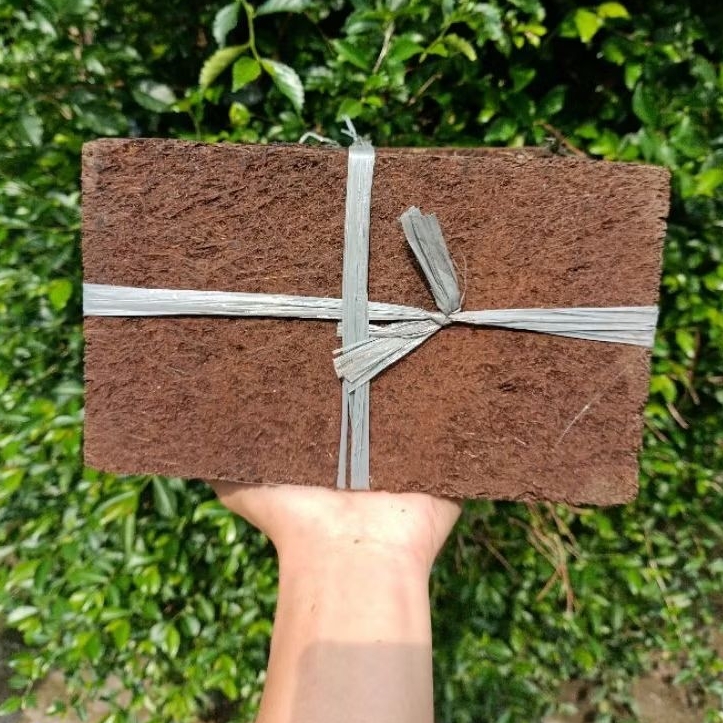 Papan Pakis BESAR 10Pcs Pakis Lempeng / Akar Pakis / Media Tanaman Anggrek / Pakis Kotak