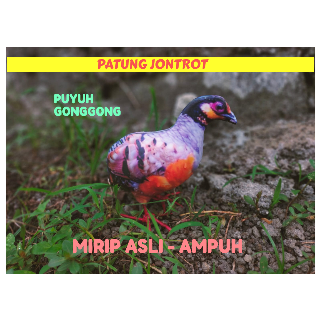 PATUNG JONTROT BURUNG PUYUH GONGGONG - JONTROT BURUNG PUYUH GONGGONG