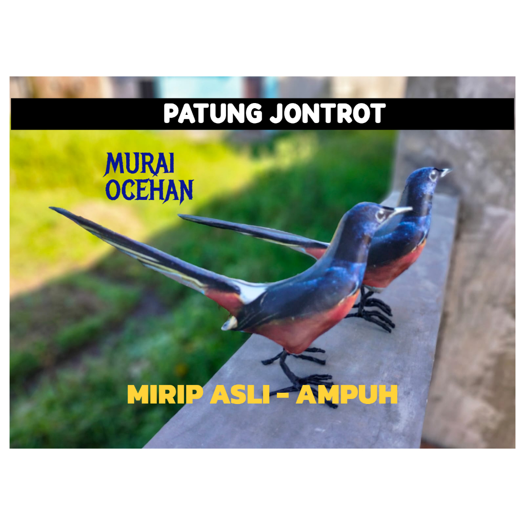 PATUNG JONTROT BURUNG MURAI OCEHAN - JONTROT BURUNG MURAI OCEHAN
