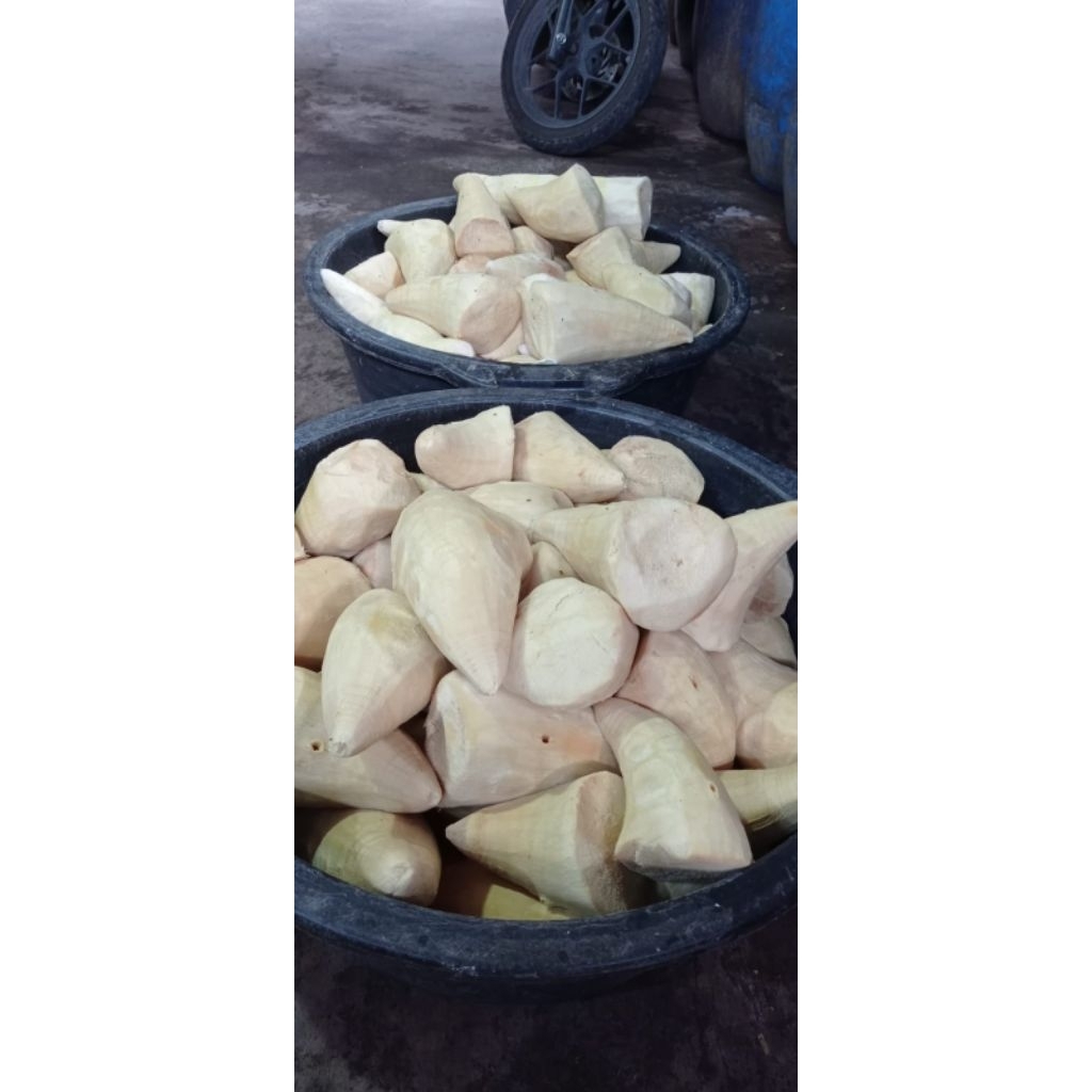 

rebung ampel glondong 3 kilo