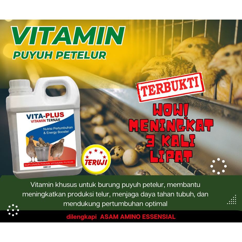 Vitamin Burung Puyuh Petelur Meningkatkan Produksi Menguatkan Cangkang telur dan Kesehatan burung