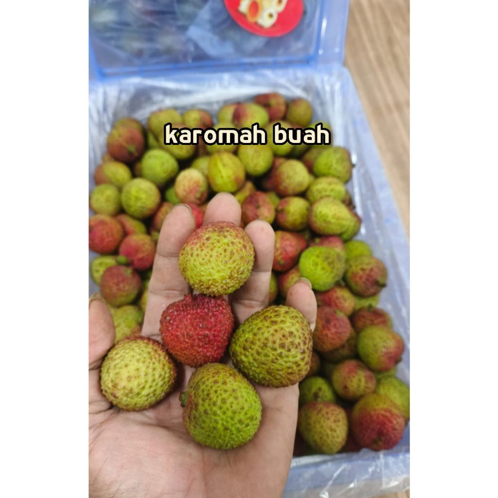 PERDUS 5KG - BUAH LECI MADU [ 1 KRAT BERSIH ] TIMBANGAN CUKUP DAN BERSIH [ LYCHEE HONEY IMPORT ] FRE