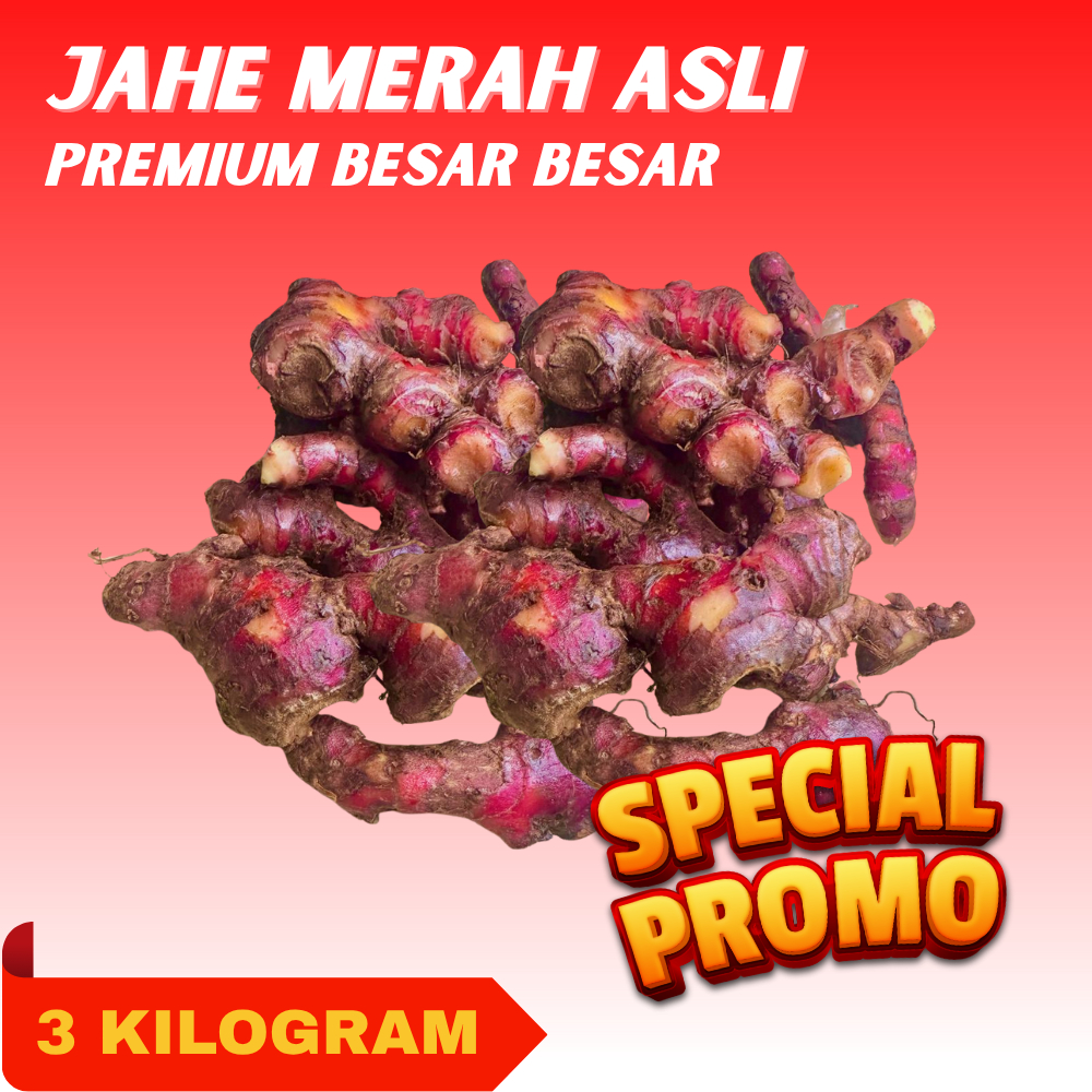 

Jahe Merah Asli! Jahe Merah Fresh Segar Jahe Merah Murni Belum Dicuci Bersih