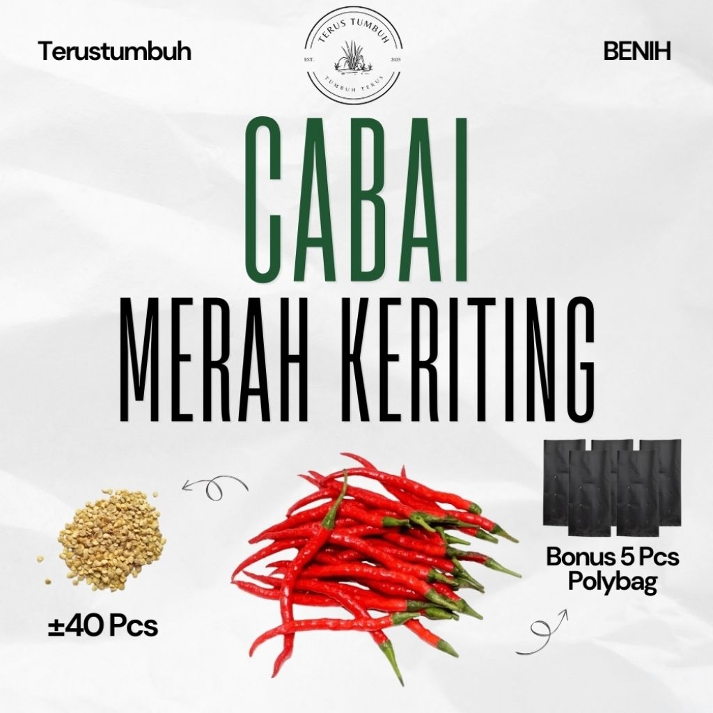 Terustumbuh - Benih Cabai Merah Keriting Unggul Pedas ±40 Biji Bonus 5 Pcs Polybag Varietas Lokal Un