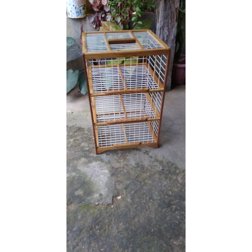 dondang lepas pintu 3 jumbo