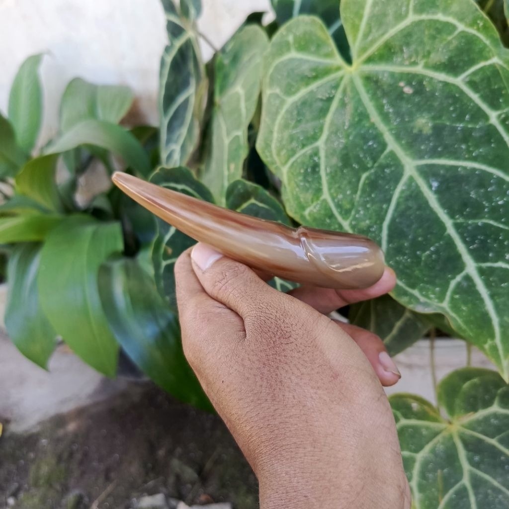 ONCE PIPA dari bahan tanduk kerbau asli ukuran 10cm warna putih/bule