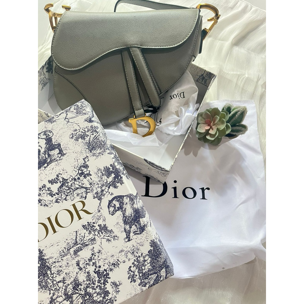 Dior Saddle Bag