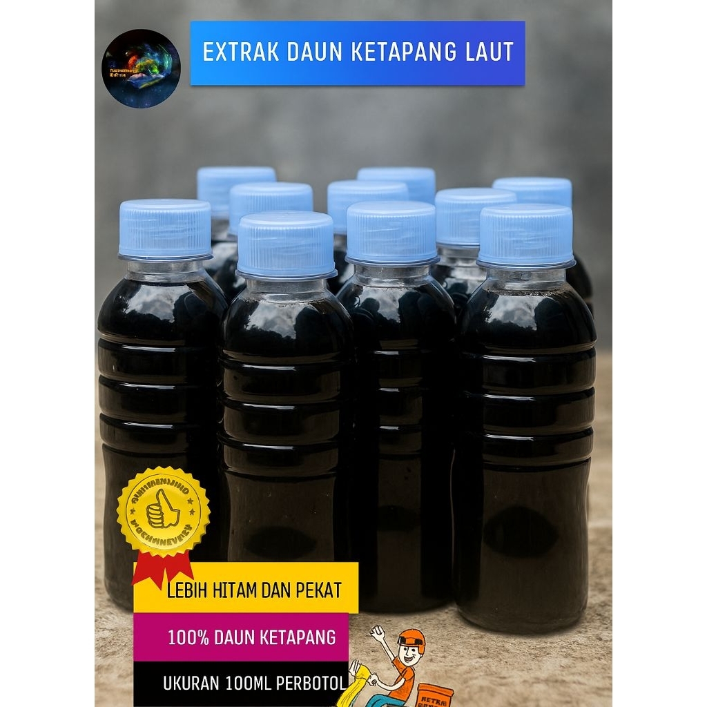 extrak daun Ketapang laut