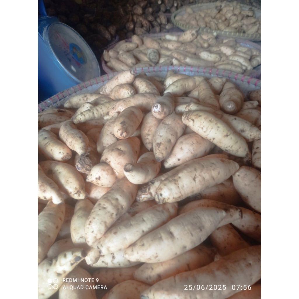 

ubi cilembu madu maniss&pulen kecil2 untuk kukus spek To sekilo dapat banyakkk 1kg