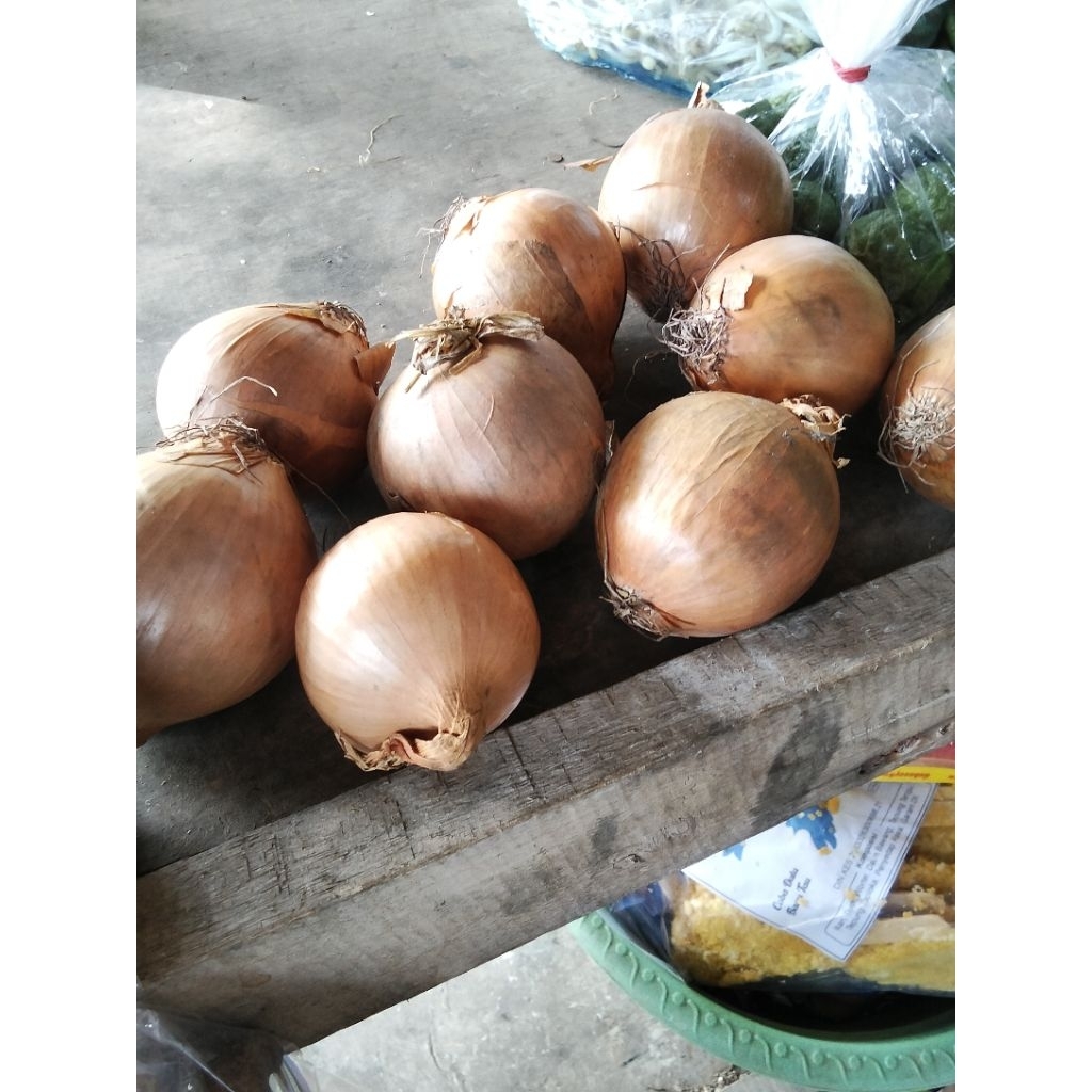 

1/2 bawang bomba