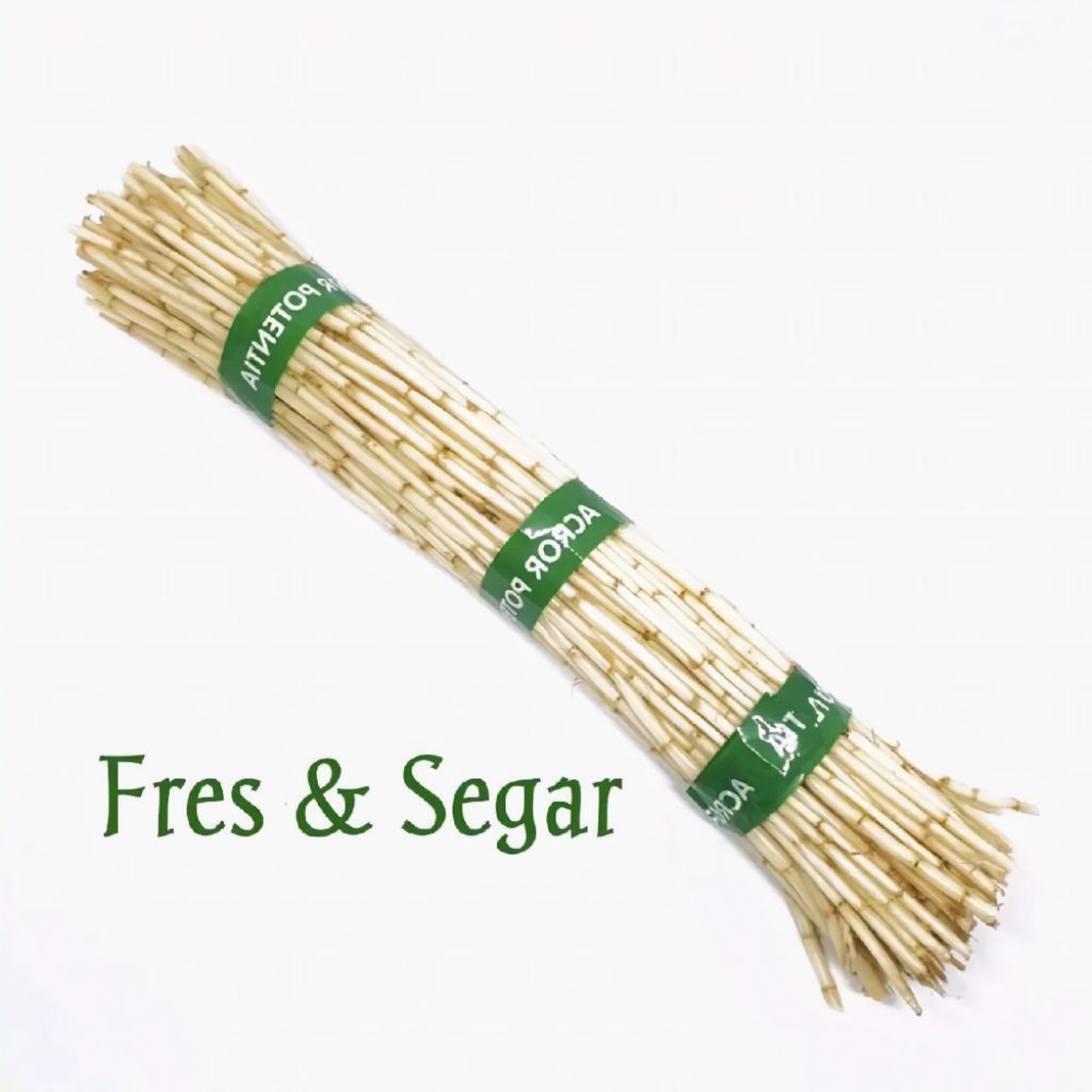 

Akar Alang Alang Segar Isi Per 100 Gram Alami