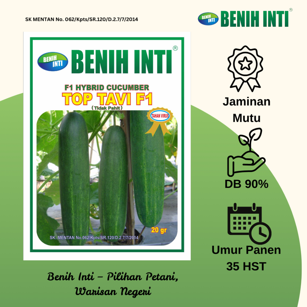 Benih Timun Hibrida F1 Top Tavi Benih Inti