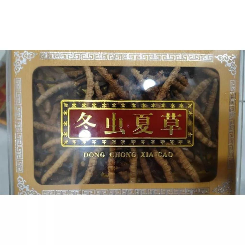 

Cordyceps Sinesis Original Dong Chong Xia Cao 37,5 gram Grade A