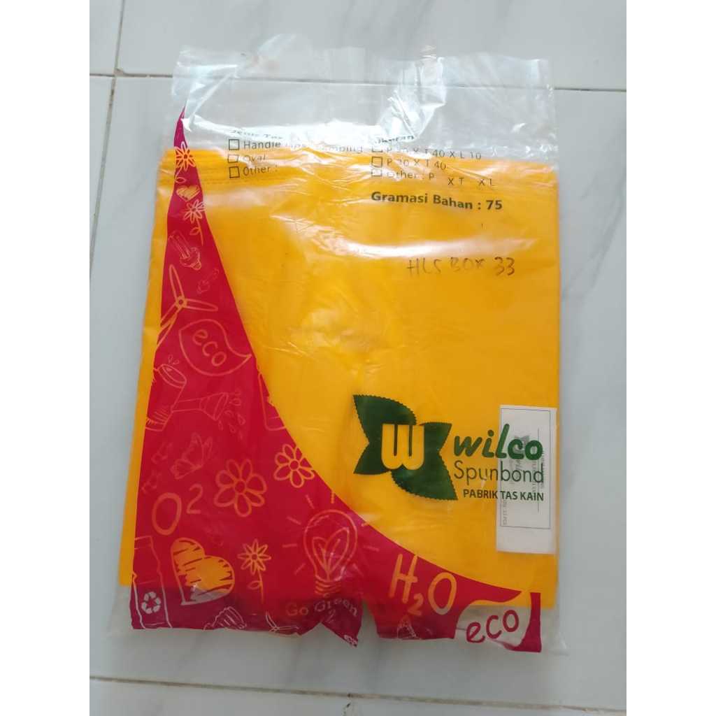 

Spunbond Bag / Tas HLS Box 33/ Tas Hajatan Tas Kotak Nasi Tas Besek Acara / Harga Lusinan