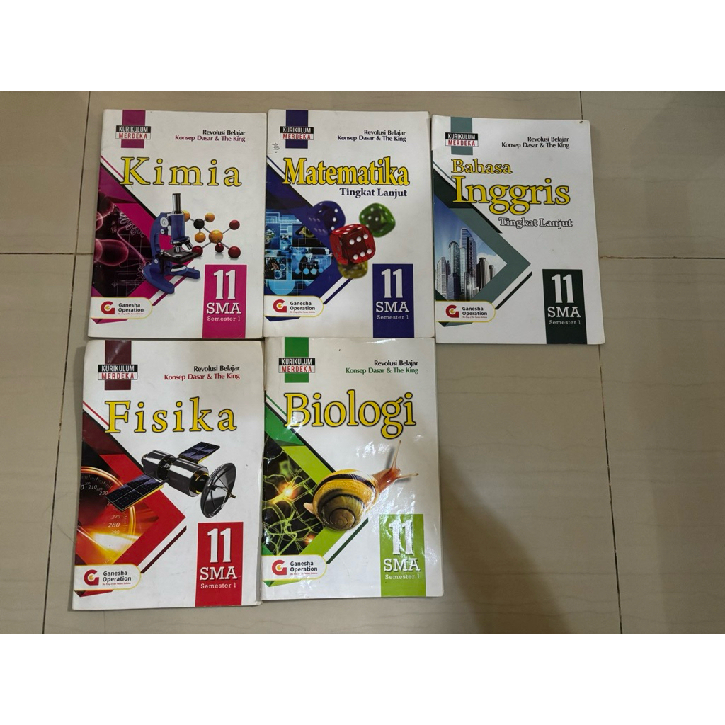 BUKU KODING GO KELAS 11 SMT 1