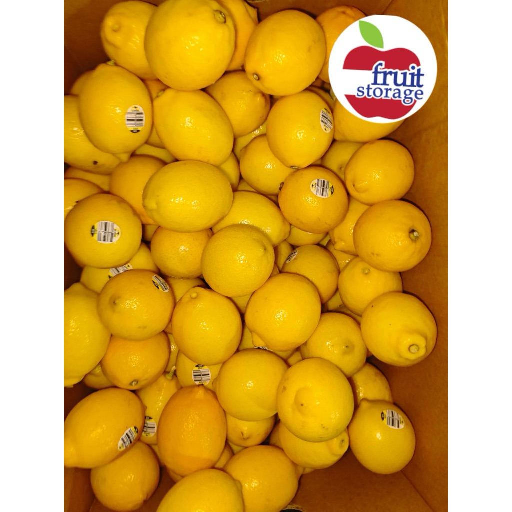 

Lemon Import Australia kiloan fresh segar China RRC Buah 1kg