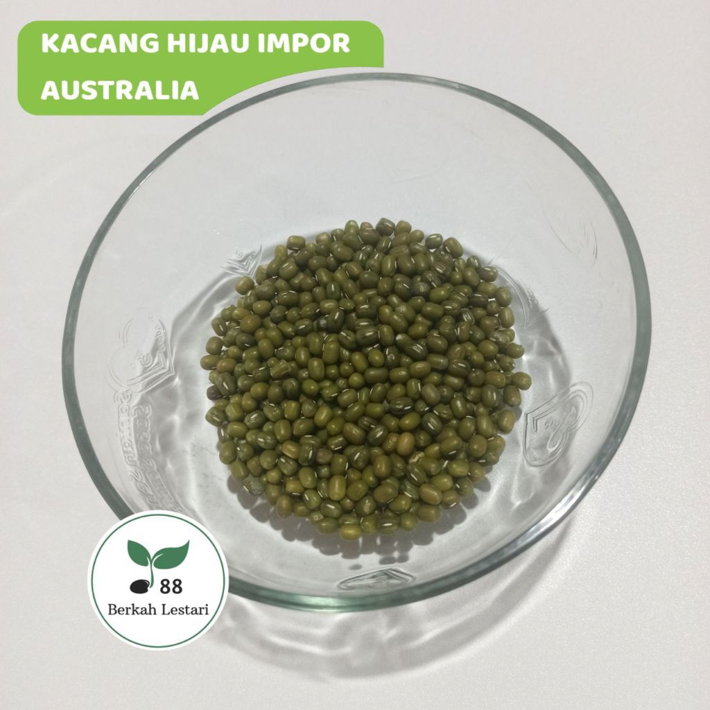 

Kacang Hijau Impor Australia - Kualitas Super