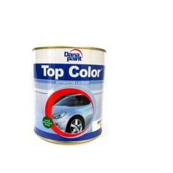 TOP COLOR CAT DUCO- 200 ML