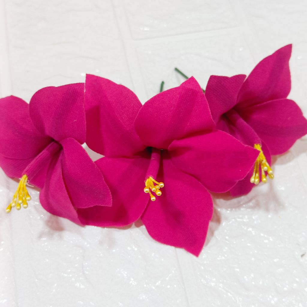 cucuk bludru pink / pucuk bludru pink / cucuk pucuk bludru merah muda