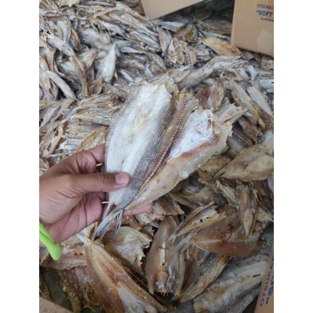 

ikan Asin Bloso / boso super kering ( tawar ) isi 100grm