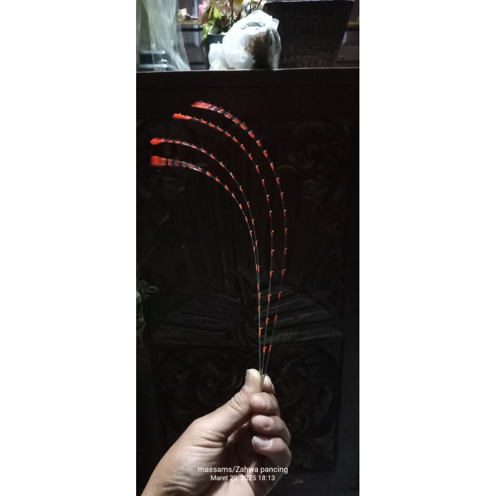 entul waduk,entul wwl