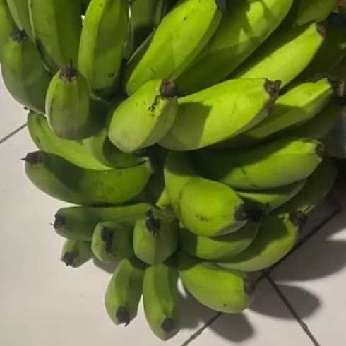 

Buah Pisang Mentah FLT 50 Gr Pisang Bangkaulu