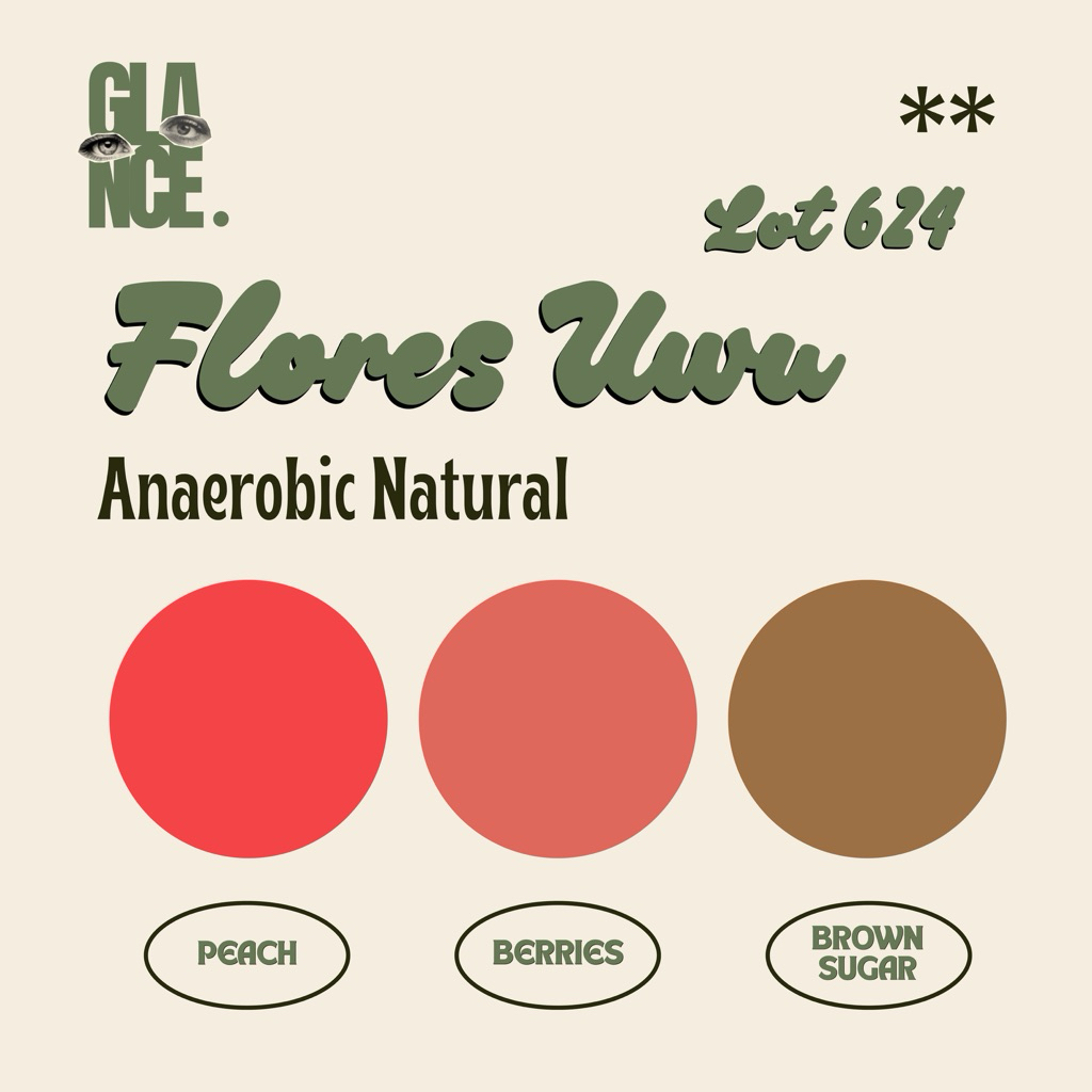

Flores Uwu lot 624 - Kartika - Anaerobic Natural - 150 gr - Glance Coffee Roasters