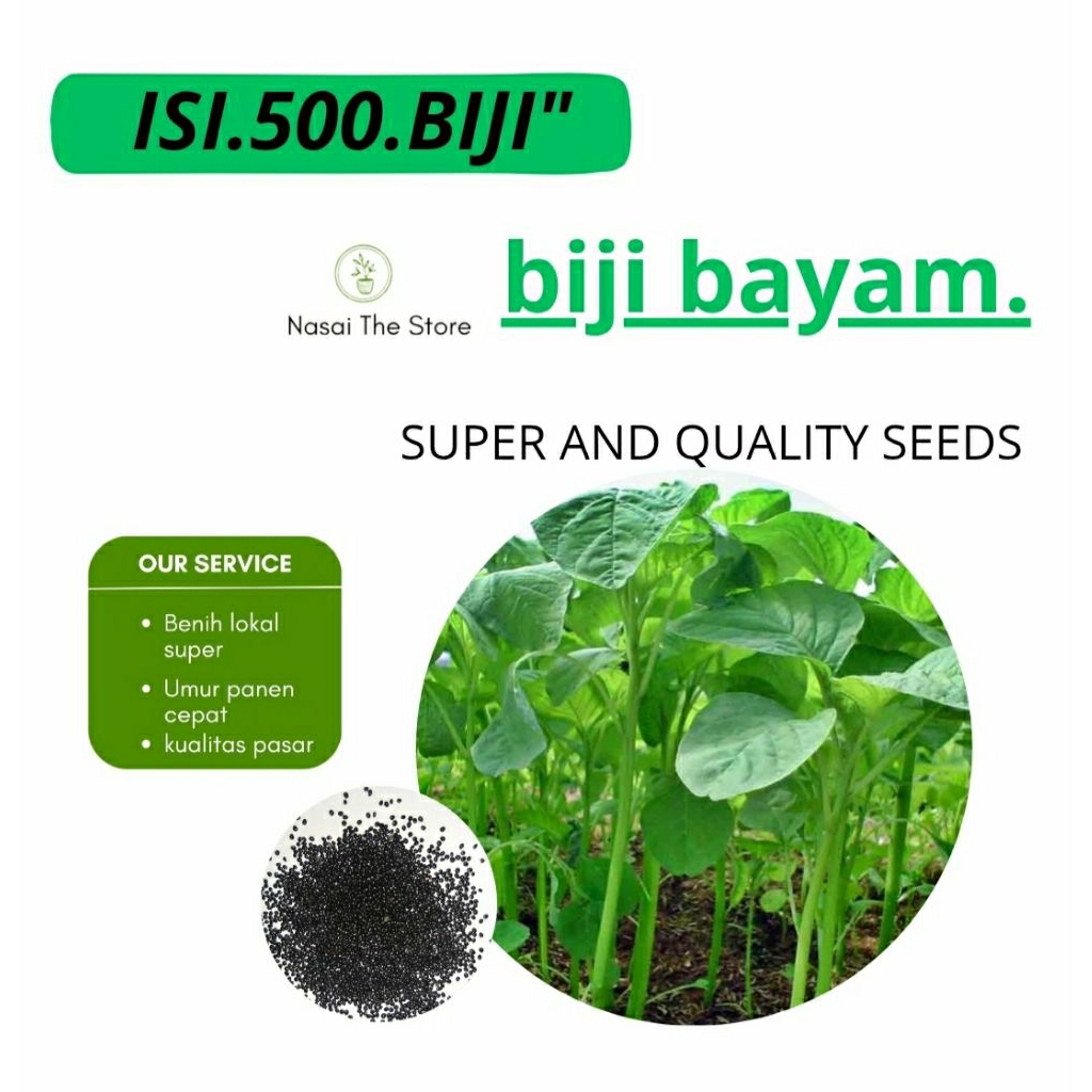 

Benih bayam sayur 500 biji