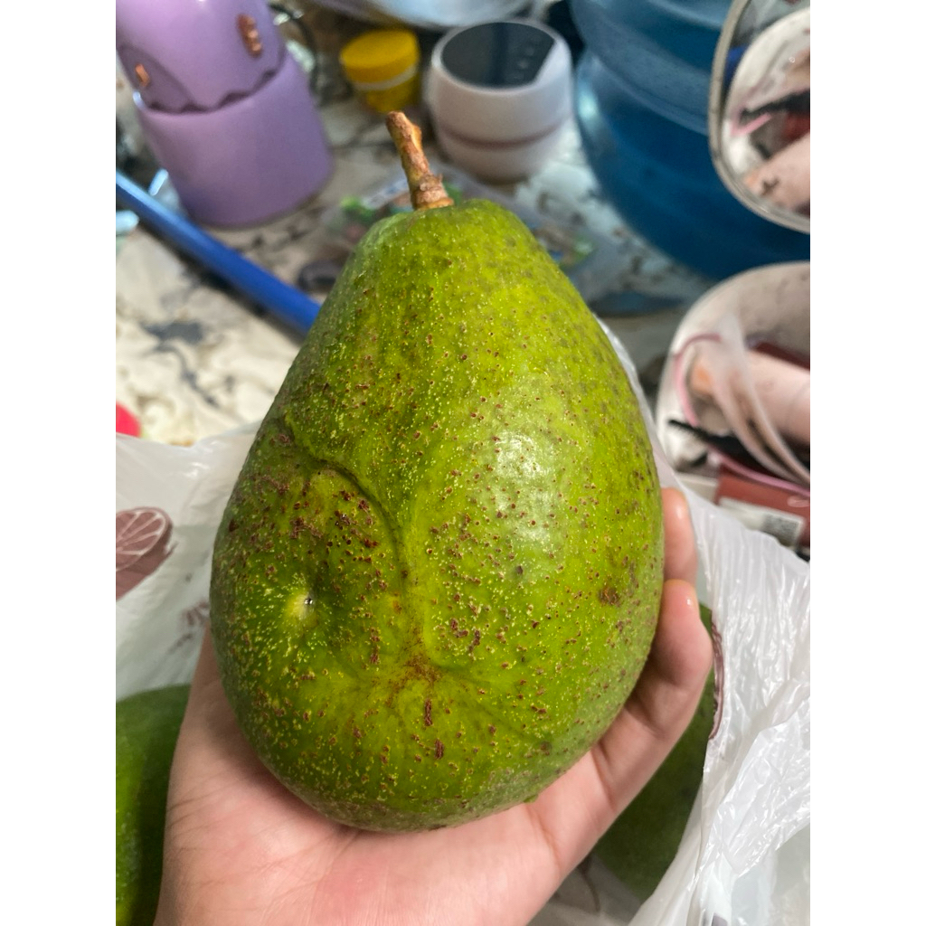 

Alpukat super 1 kg khusus cust Ida