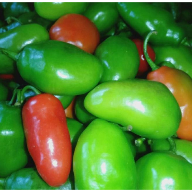 

#Grha Bhojana# CABE GENDOT VIRAL 250 GRAM