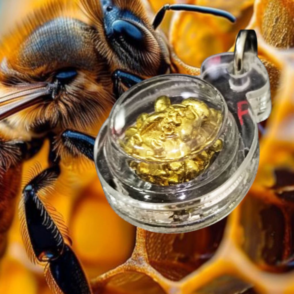 Lop Ohm Ratu lebah/ Lp Jued