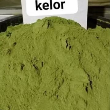 

Daun Kelor Serbuk Asli Segar