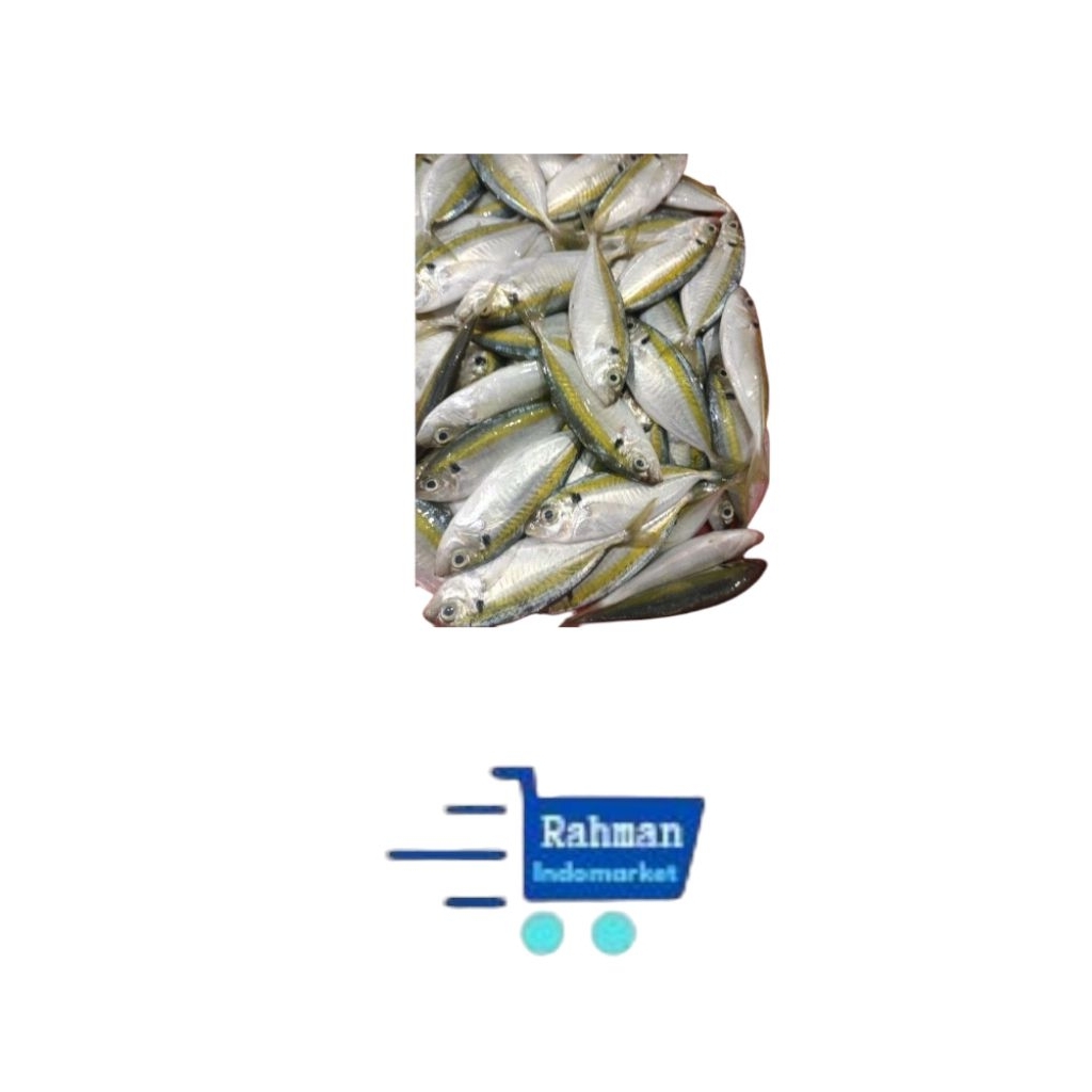 

IKAN SELAR 500Gr