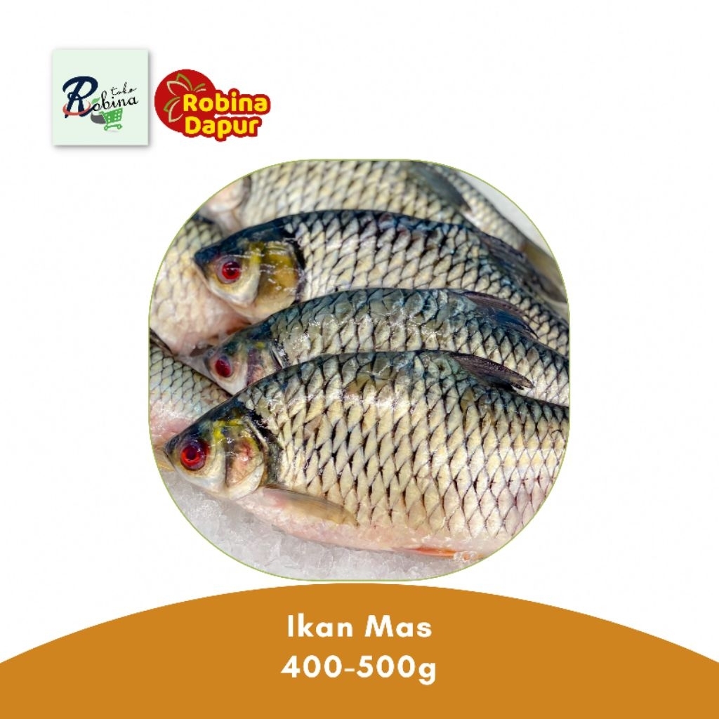 

Ikan Mas Segar - 500g