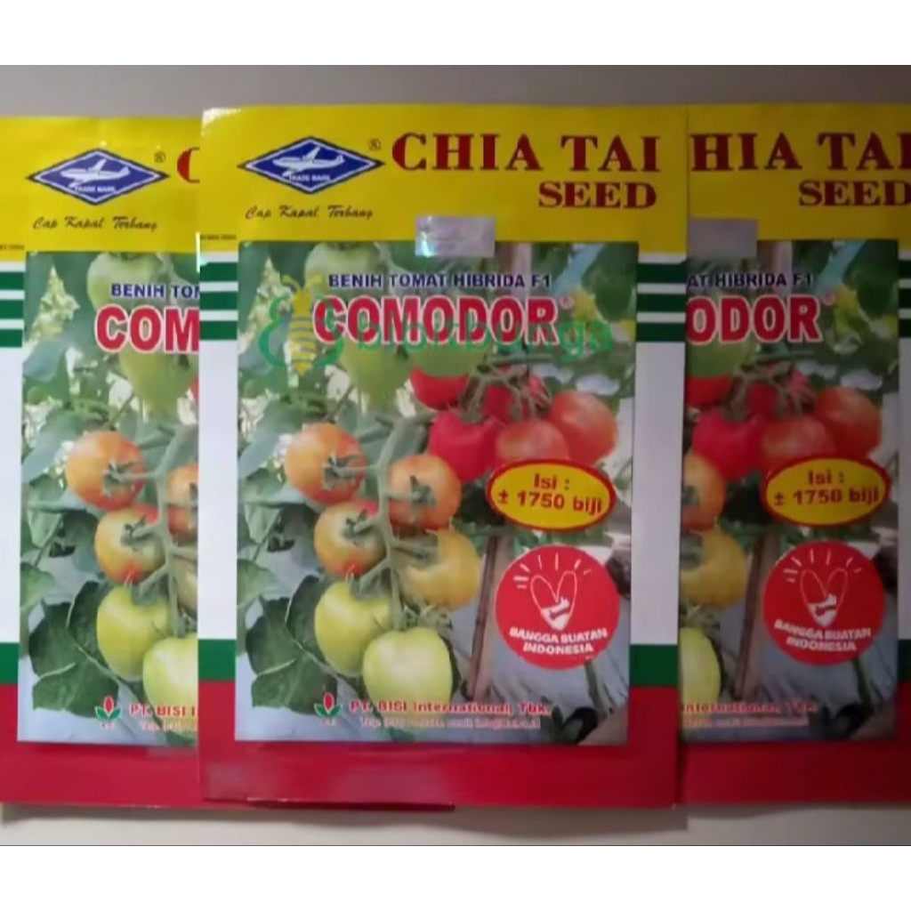Benih Tomat COMODOR hibrida F1 isi 1750 biji