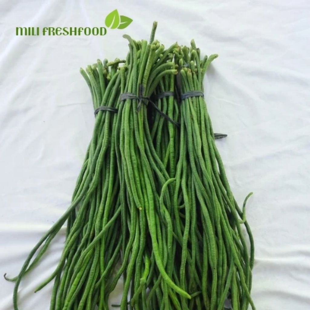 

Kacang Panjang sayuran hijau kubanan