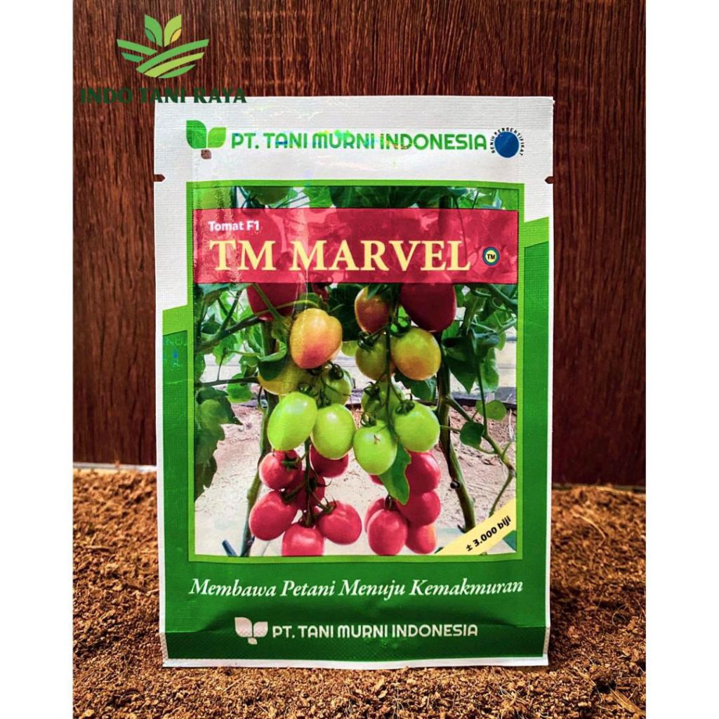 TOMAT TM MARVEL (BENIH)