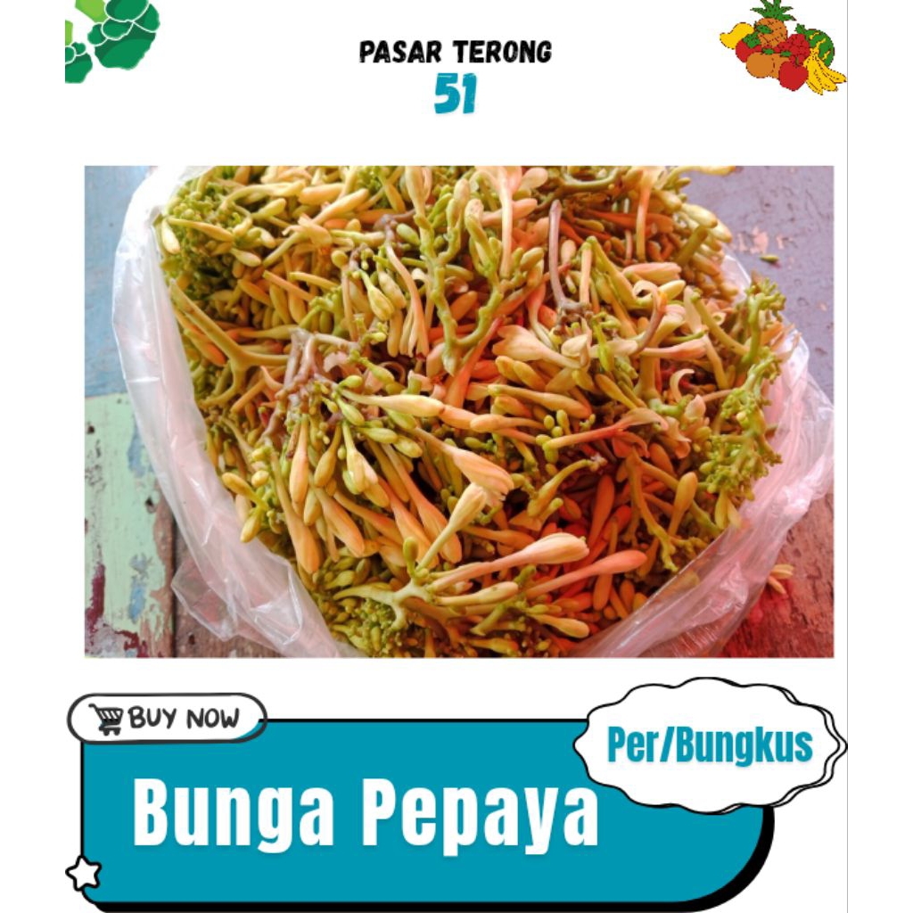 

Bunga Pepaya Makassar 8.000
