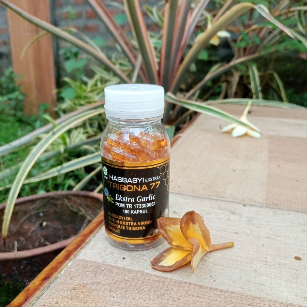 Habbatussauda Plus Propolis Trigona Habbasyi Trigona 77 DIY