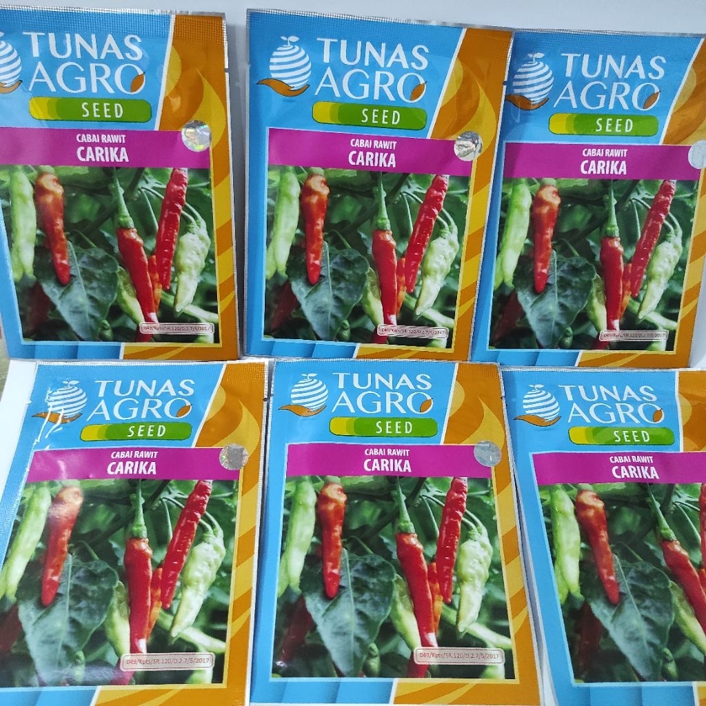 Cabai rawit tipe sigantung/madun tunas agro Carika