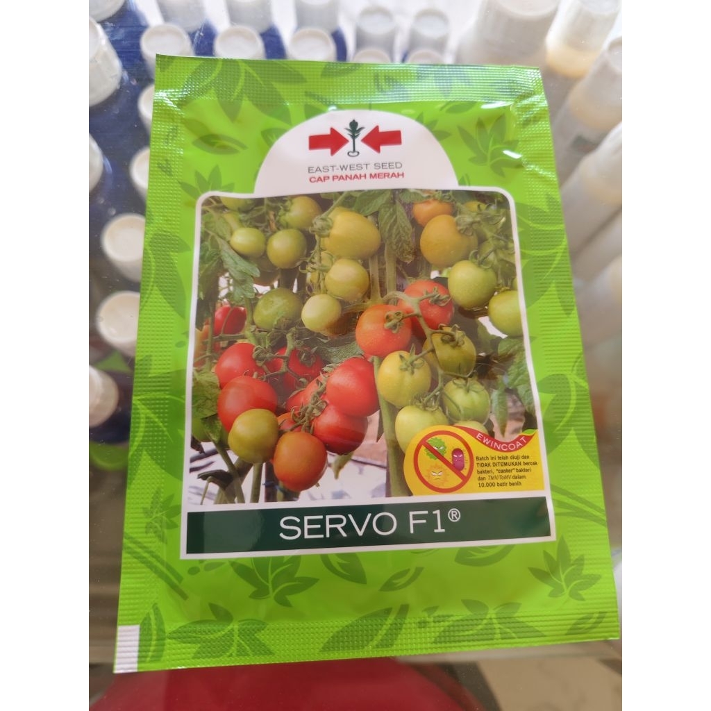 benih tomat SERVO