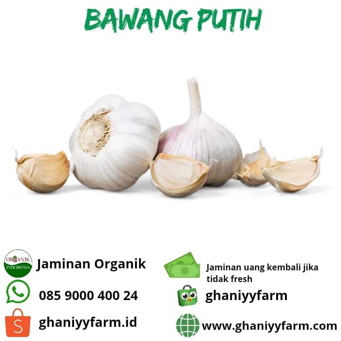 

Bawang Putih organik 250 Gram