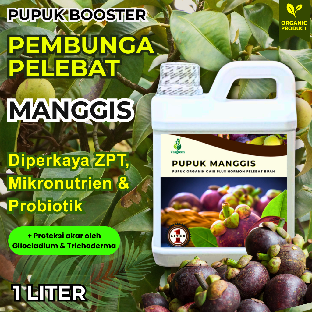 Pupuk Booster Cair Manggis Organik | Pelebat Buah Manggis | Pupuk Agar Manggis Cepat Berbuah Lebat