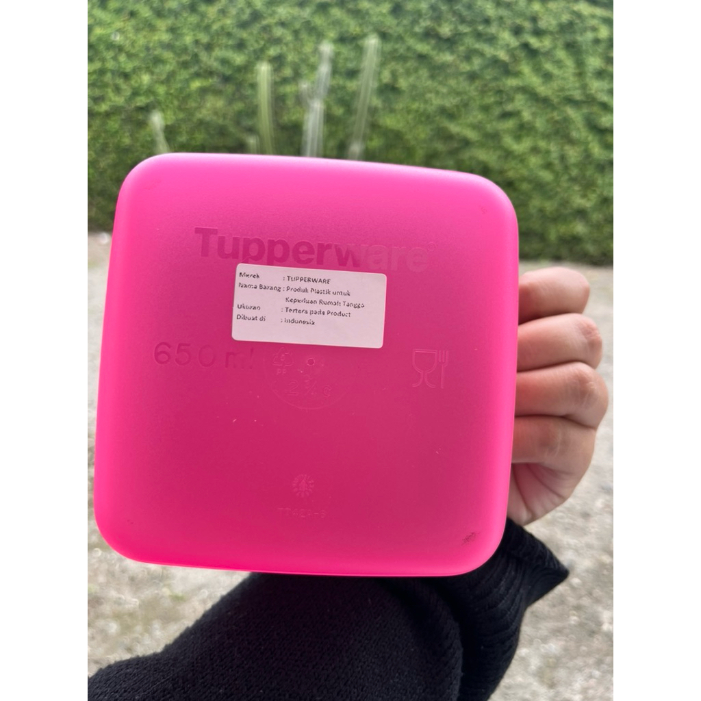 TUPPERWARE tempat makan medium square