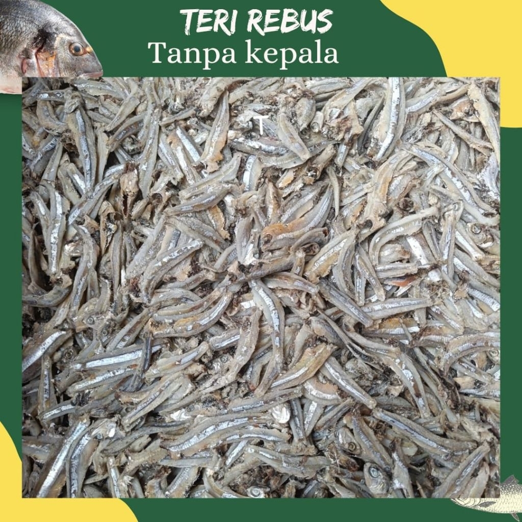 

TERI REBUS TANPA KEPALA 1KG kwalitas super premium