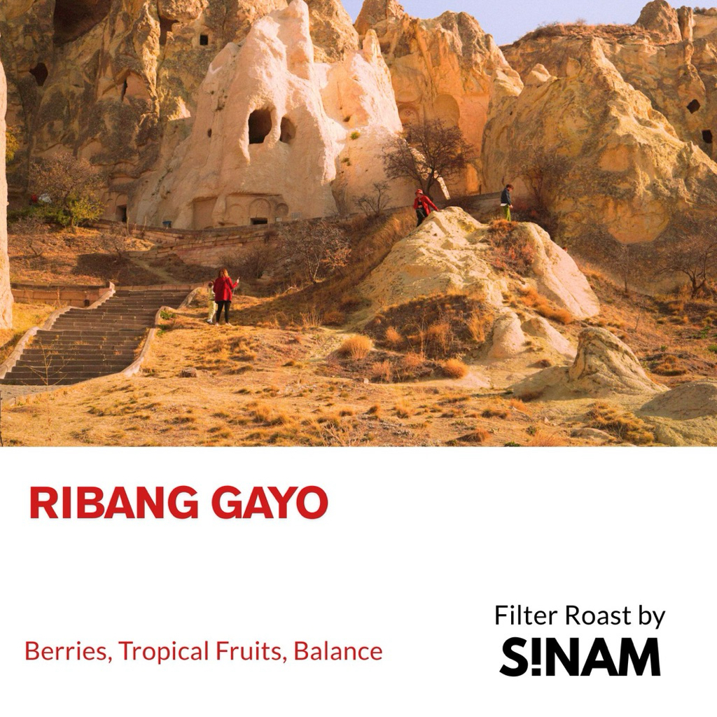 

Ribang Gayo Natural (Filter Coffee Roast)