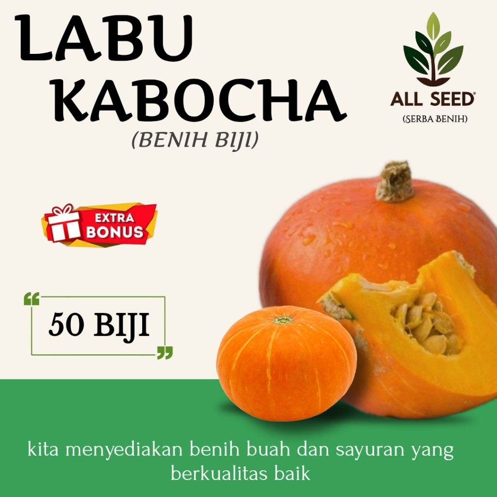 ( 50 biji ) Benih labu kabocha, bibit biji labu Jepang/labu kabocha