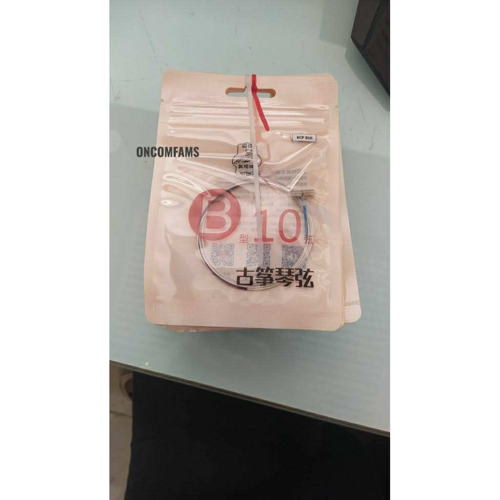 Senar Kecapi Guzheng Dunhuang B10