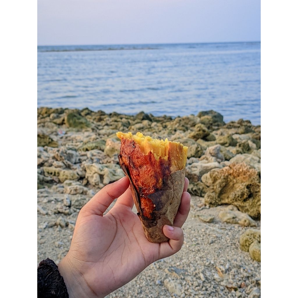 

ubi madu cilembu matang dengan kuota 300g-1kg